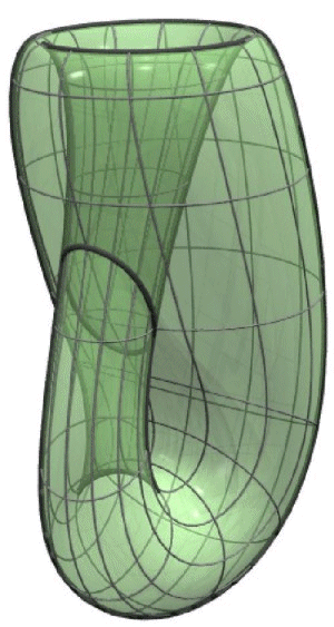 Klien Bottle model